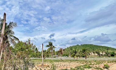 Land for sale in Huai Yai, Chon Buri