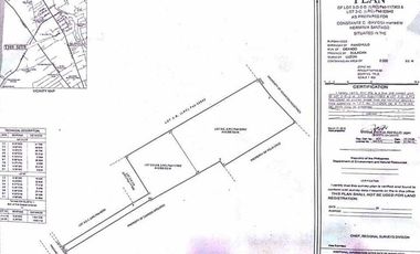 Commercial Lot Along MH del pilar Valenzuela for sale