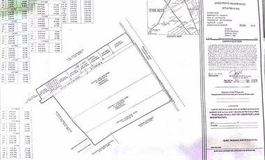 Commercial Lot Along MH del pilar Valenzuela for sale