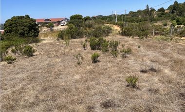 CASABLANCA / EL BATRO / TERRENO 5.300 MT2