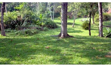 VENDO HOSTERIA SUIZA EN PUERTO RICO MNES