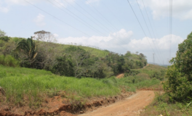 TERRENO DE 260.700 M2 EN SAN VICENTE CHILIBRE