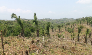 TERRENO DE 260.700 M2 EN SAN VICENTE CHILIBRE