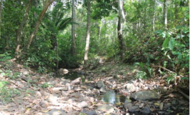 TERRENO DE 260.700 M2 EN SAN VICENTE CHILIBRE