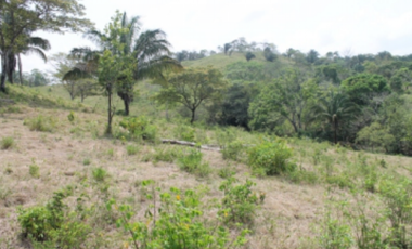 TERRENO DE 260.700 M2 EN SAN VICENTE CHILIBRE