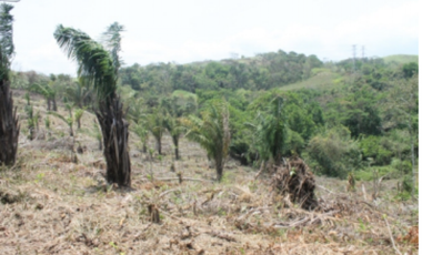 TERRENO DE 260.700 M2 EN SAN VICENTE CHILIBRE