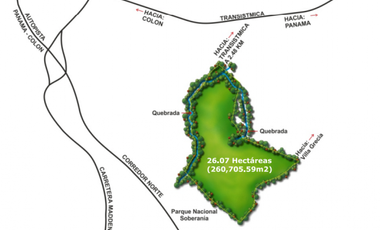 TERRENO DE 260.700 M2 EN SAN VICENTE CHILIBRE