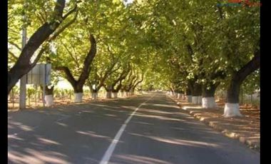 Agrícola en Venta en puente los trapiches