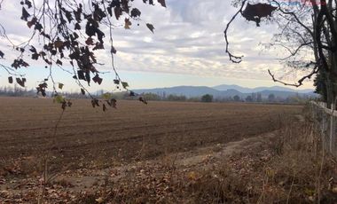 Agrícola en Venta en puente los trapiches