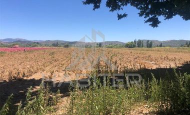 Agrícola en Venta en puente los trapiches
