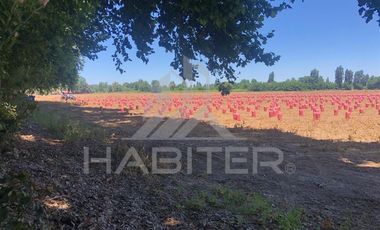 Agrícola en Venta en puente los trapiches