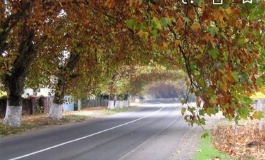 Agrícola en Venta en puente los trapiches