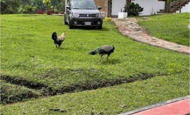 Casa de Campo en Venta - Lamas (Pamashto)