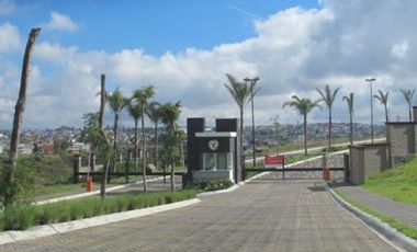 Terrenos en venta en Lomas de Angelòpolis. Cascatta.