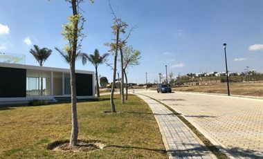 Terrenos en venta en Lomas de Angelòpolis. Cascatta.