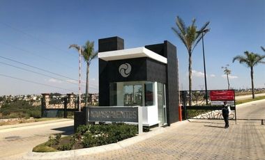 Terrenos en venta en Lomas de Angelòpolis. Cascatta.