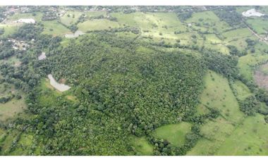 VENTA CASA CON TERRENO EN LA CHORRERA CERRO CAMA