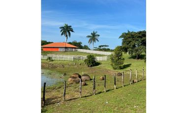 VENTA CASA CON TERRENO EN LA CHORRERA CERRO CAMA