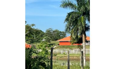 VENTA CASA CON TERRENO EN LA CHORRERA CERRO CAMA