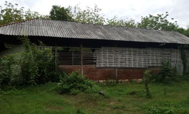 TANAH BANGUNAN MURAH, MOJOWARNO, JOMBANG