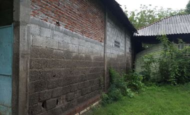 TANAH BANGUNAN MURAH, MOJOWARNO, JOMBANG