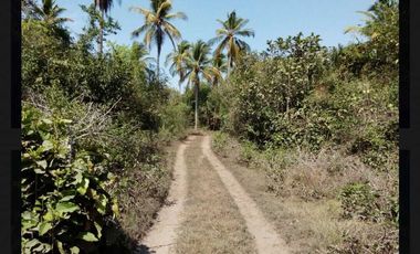 SE VENDE 17 HECTAREAS SAN MARCOS JUNTO A LAGUNA DE TECOMATE PEGADO AL MAR