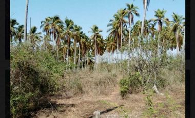 SE VENDE 17 HECTAREAS SAN MARCOS JUNTO A LAGUNA DE TECOMATE PEGADO AL MAR
