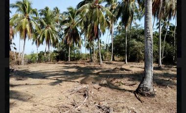 SE VENDE 17 HECTAREAS SAN MARCOS JUNTO A LAGUNA DE TECOMATE PEGADO AL MAR