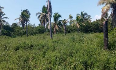 SE VENDE 17 HECTAREAS SAN MARCOS JUNTO A LAGUNA DE TECOMATE PEGADO AL MAR