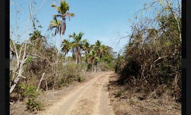 SE VENDE 17 HECTAREAS SAN MARCOS JUNTO A LAGUNA DE TECOMATE PEGADO AL MAR