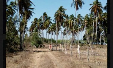 SE VENDE 17 HECTAREAS SAN MARCOS JUNTO A LAGUNA DE TECOMATE PEGADO AL MAR