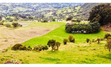 SE VENDE FINCA CON VISTA HACIA EL VALLE DE RO FRO