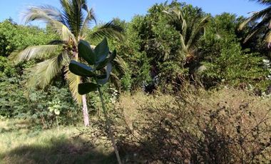 lote en venta en sabanilla. Cod V10660