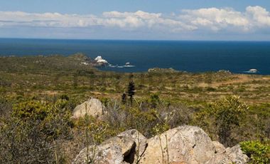 HERMOSAS PARCELAS CONDOMINIO 5000 MT2 LOS MOLLES