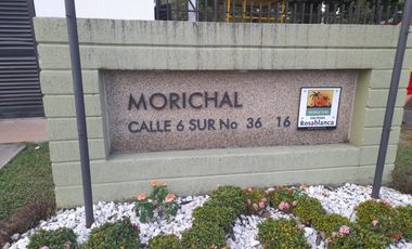 apartamento en arriendo en rosa blanca. Cod A3936701