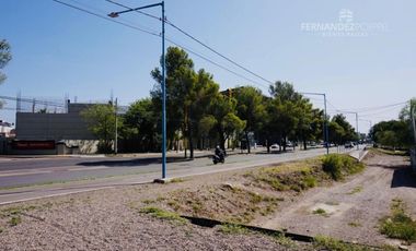 SE ALQUILA Local Comercial Dos Pisos 170 m2 Ruta Panamericana Palmares