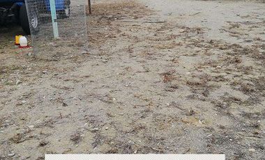 Terreno de Venta en calle Bolivar entre 23 de Abril y Buenavista, Machala, Ecuador