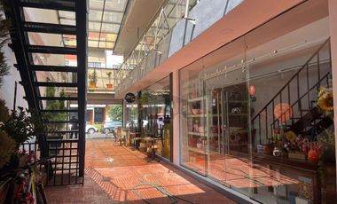 EDIFICIO EN VENTA EN SANTA MARIA DE LA RIVERA, CIUDAD DE MEXICO