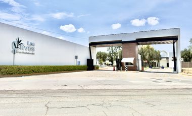 Terreno en Venta en Los Olivos Aguascalientes