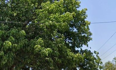 Se Vende Hermosa Parcela en Olmué Excelente Ubicación