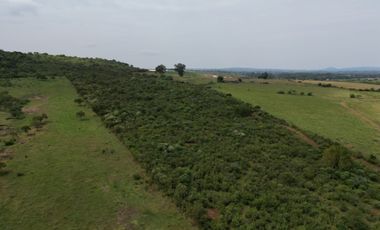 VENTA DE RANCHO TIERRA ROJA