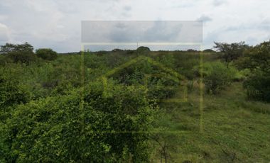 VENTA DE RANCHO TIERRA ROJA