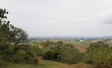 VENTA DE RANCHO TIERRA ROJA