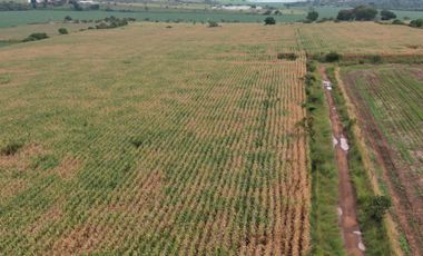 VENTA DE RANCHO TIERRA ROJA