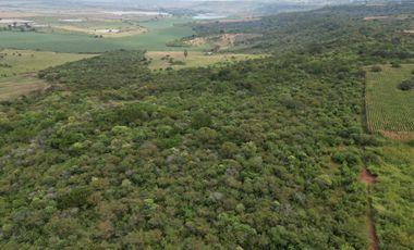 VENTA DE RANCHO TIERRA ROJA