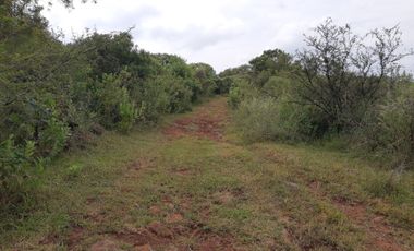 VENTA DE RANCHO TIERRA ROJA