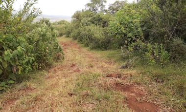 VENTA DE RANCHO TIERRA ROJA