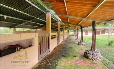 Se Vende finca Ecuestre en Chame