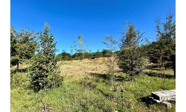 PARCELA SECTOR EL TRIWE