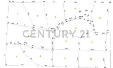 PARCELA SECTOR EL TRIWE